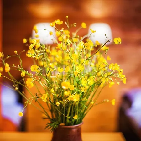 Romantic * Zgornje Jezersko