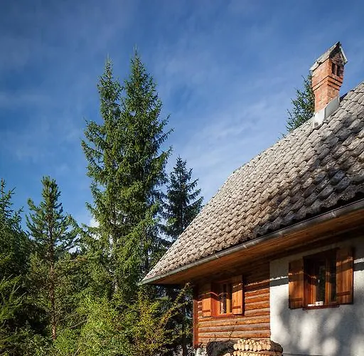 Romantic 泽高杰斯科