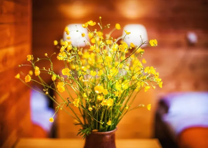 Romantic * 泽高杰斯科